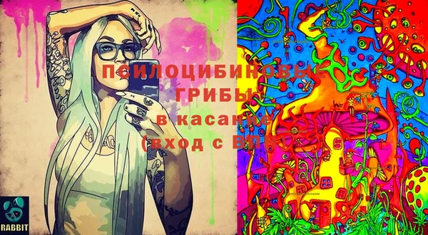ECSTASY Вяземский