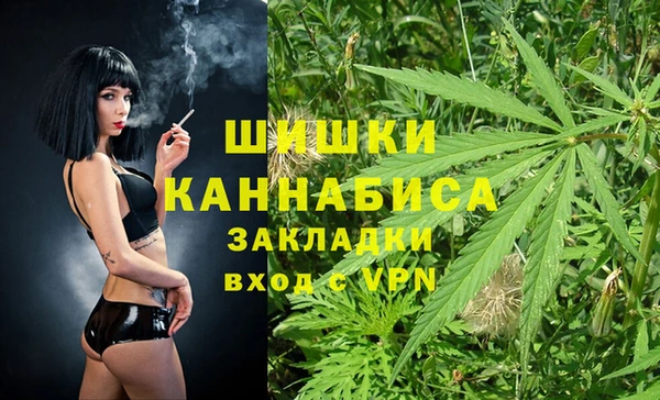 хмурый Верея