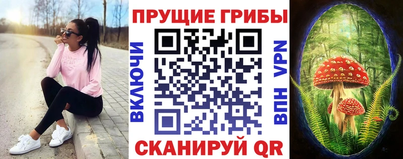 Галлюциногенные грибы прущие грибы  закладки  Верхотурье 